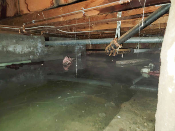 Best Fire Damage Restoration  in Ogden, NC