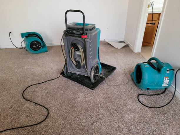 Best Water damage repair service  in Ogden, NC