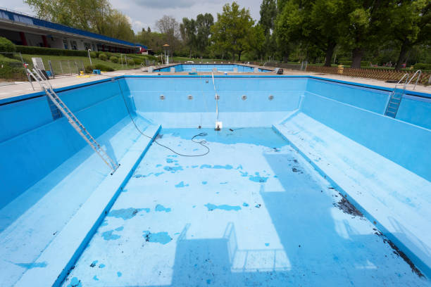Best Basement water damage restoration  in Ogden, NC