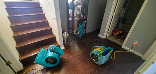 Best Water damage contractors near me  in Ogden, NC