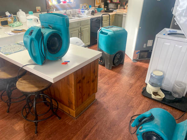 Best Ceiling water damage repair  in Ogden, NC