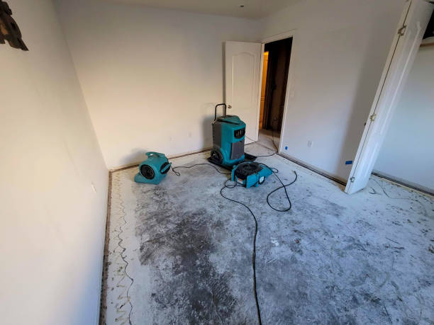 Best Flood damage cleanup  in Ogden, NC