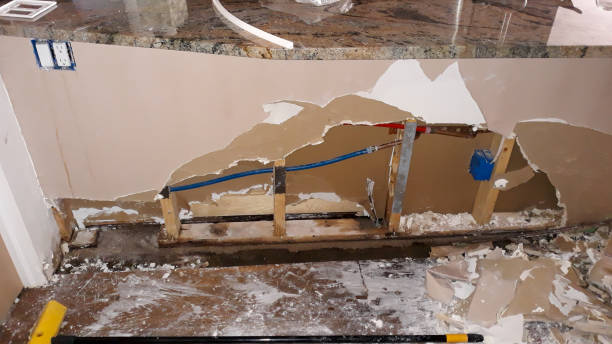 Best Professional water damage repair  in Ogden, NC