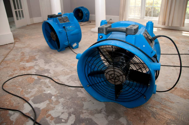 Best Water damage restoration company  in Ogden, NC