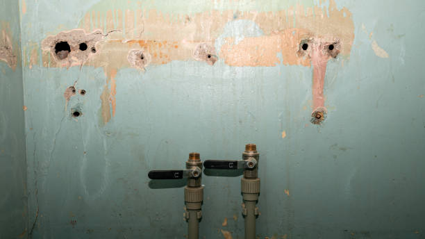 Best Residential water damage restoration  in Ogden, NC
