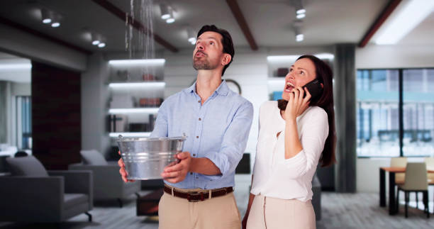 Best Water damage restoration near me  in Ogden, NC
